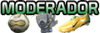 Mod. Edición gráfica Mod. Edición gráfica